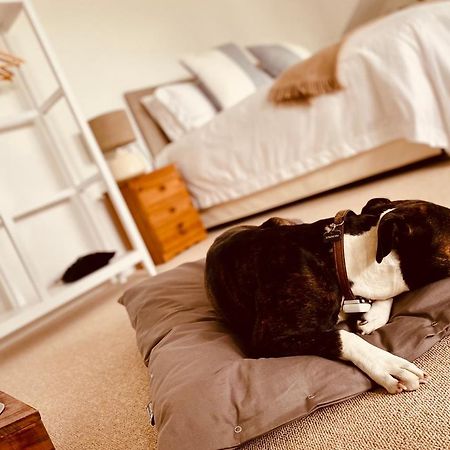 The Ventnor Annex Bed & Breakfast ภายนอก รูปภาพ